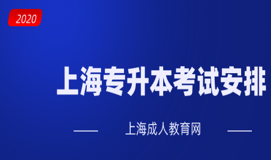 上海成人教育深受用户欢迎的原因