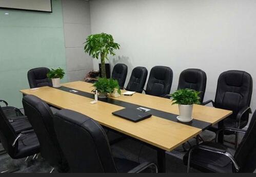 会场植物租赁一般会有哪几种形式 会场植物租赁一般会有哪几种形式