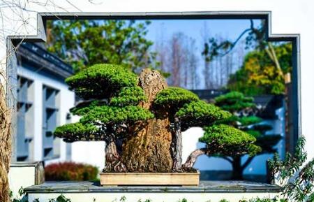考察景区植物租赁机构有什么技巧 考察景区植物租赁机构有什么技巧