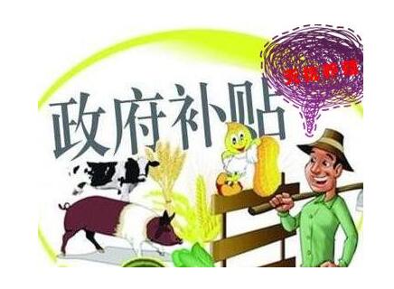 哪些群体更适宜进入深圳创业补贴申请流程? 哪些群体更适宜进入深圳创业补贴申请流程?