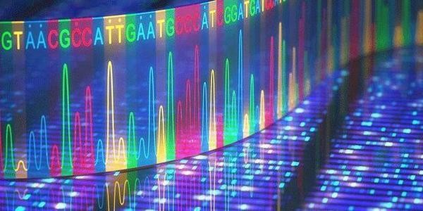土壤微生物多样性检测的Biolog分析法主抓哪些分析角度 土壤微生物多样性检测的Biolog分析法主抓哪些分析角度
