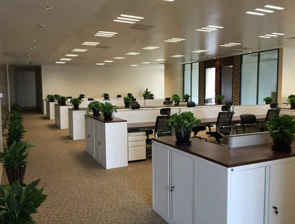 哪些地方会聘用上海办公室日常保洁 哪些地方会聘用上海办公室日常保洁