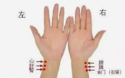 脉诊培训机构值得信赖的原因 脉诊培训机构值得信赖的原因