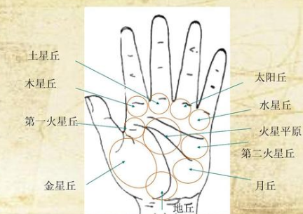 手诊培训的要点有哪些 手诊培训的要点有哪些