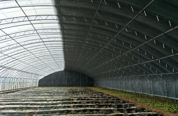 上海彩钢结构工程深受市场欢迎的原因 上海彩钢结构工程深受市场欢迎的原因