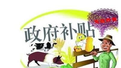 深圳创业补贴代办机构有哪些保障 深圳创业补贴代办机构有哪些保障