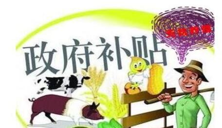 深圳创业补贴申请流程中需要注意哪些问题 深圳创业补贴申请流程中需要注意哪些问题