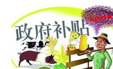 如何确保深圳创业补贴申请流程合规 如何确保深圳创业补贴申请流程合规