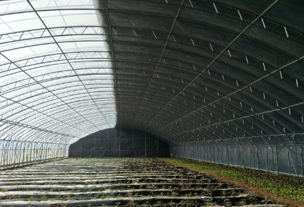 上海彩钢结构工程的施工特点有哪些 上海彩钢结构工程的施工特点有哪些