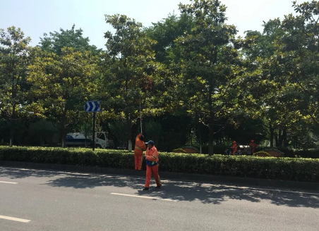 上海市政绿化养护的基本要求是什么 上海市政绿化养护的基本要求是什么