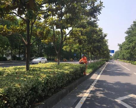 上海市政绿化养护具有哪些重要功能 上海市政绿化养护具有哪些重要功能