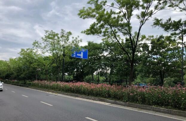 上海市政绿化养护的作用是什么 上海市政绿化养护的作用是什么