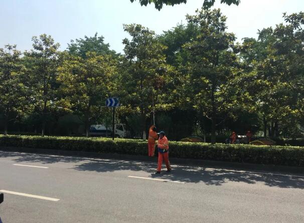 上海市政绿化养护的基本工作内容有哪些 上海市政绿化养护的基本工作内容有哪些