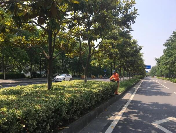 上海市政绿化养护工作包含哪些内容 上海市政绿化养护工作包含哪些内容