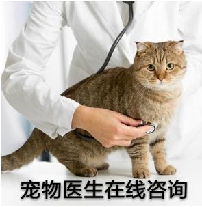 宠物在线咨询.jpg 宠物在线咨询.jpg