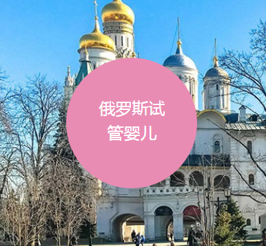 俄罗斯试管婴儿 1.png 俄罗斯试管婴儿 1.png