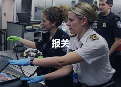 上海报关行 1.png 上海报关行 1.png