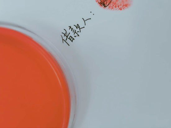 打借条软件2.jpg 打借条软件2.jpg