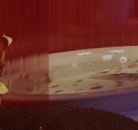 1.png 1.png