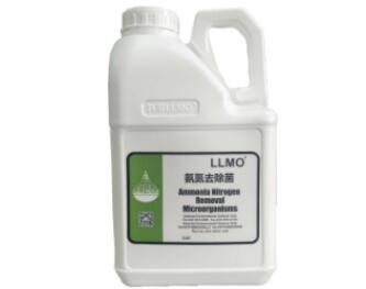 硝化菌 硝化菌