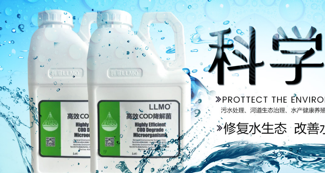 氨氮去除菌剂.png 氨氮去除菌剂.png