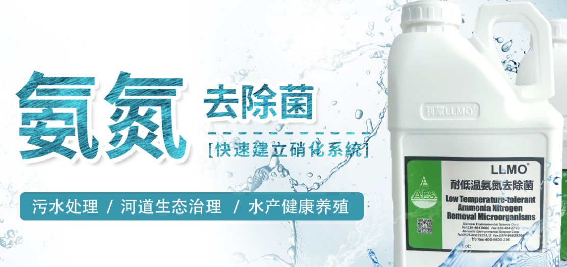 氨氮去除菌剂.png 氨氮去除菌剂.png