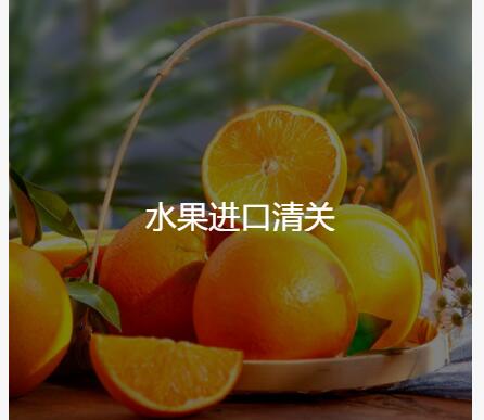 食品进口清关1.jpg 食品进口清关1.jpg