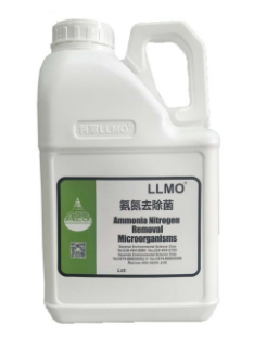 硝化菌.png 硝化菌.png