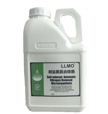 硝化菌 2.png 硝化菌 2.png