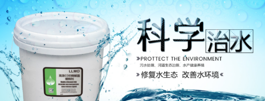 反硝化菌.png 反硝化菌.png