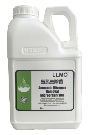 反硝化菌.jpeg 反硝化菌.jpeg