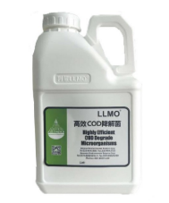 硝化菌.png 硝化菌.png