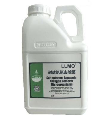 反硝化菌 3.png 反硝化菌 3.png