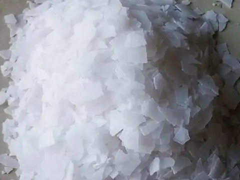 2022-03-23_105408.jpg 2022-03-23_105408.jpg