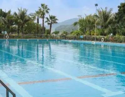  Public Swimming Pool Equipment.png 