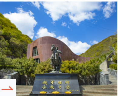 树葬陵园