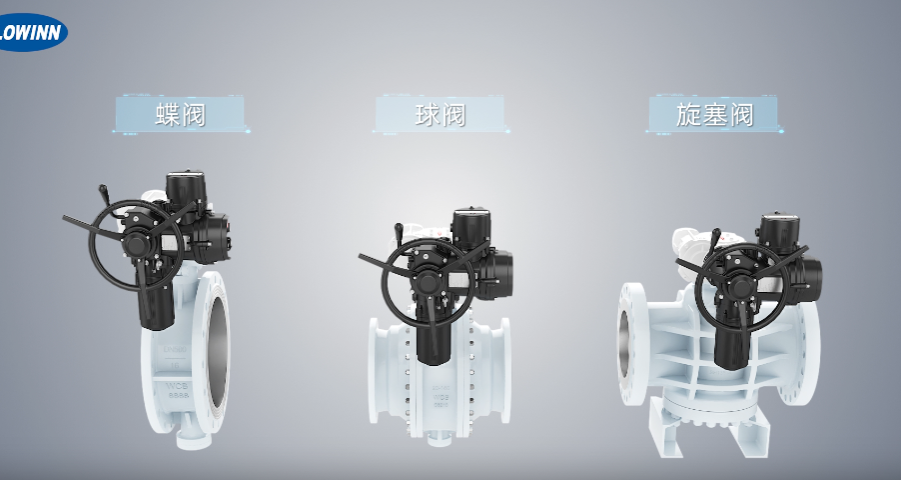 电动执行器 电动执行器