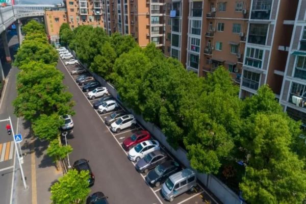 路側智慧停車管理解決方案 路側智慧停車管理解決方案