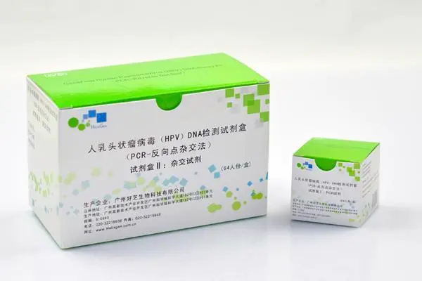 HPV定量检测试剂盒