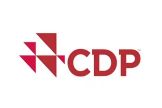 cdp问卷