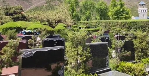 昌平区墓地九里山.png